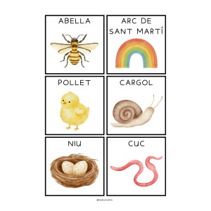 FLASHCARDS PRIMAVERA