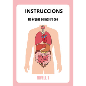 Els òrgans del nostre cos