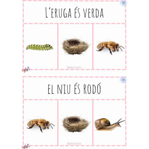 Lectura de frases Primavera