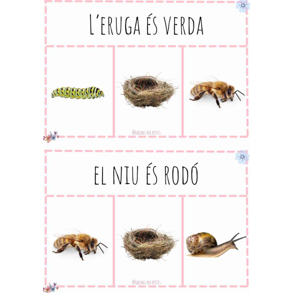 Lectura de frases Primavera