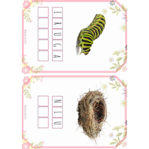 Copia les paraules Primavera