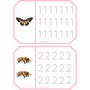 Grafisme nombres Primavera