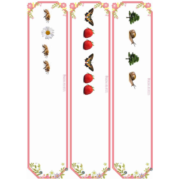 Seriacions Primavera