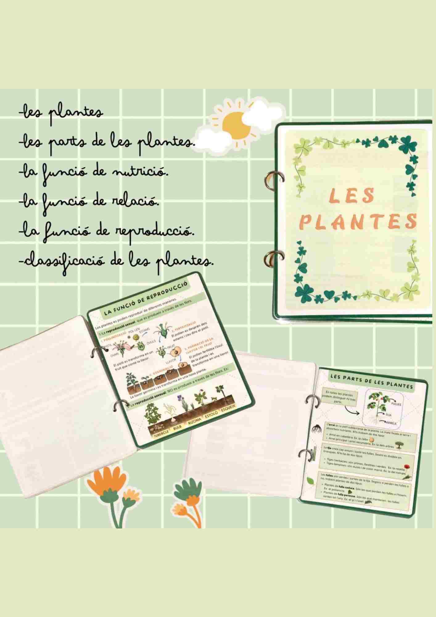 Les plantes