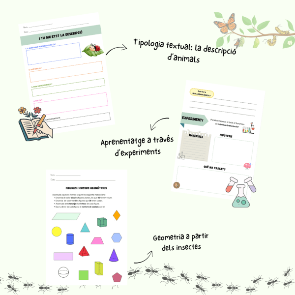 Projecte: Els insectes