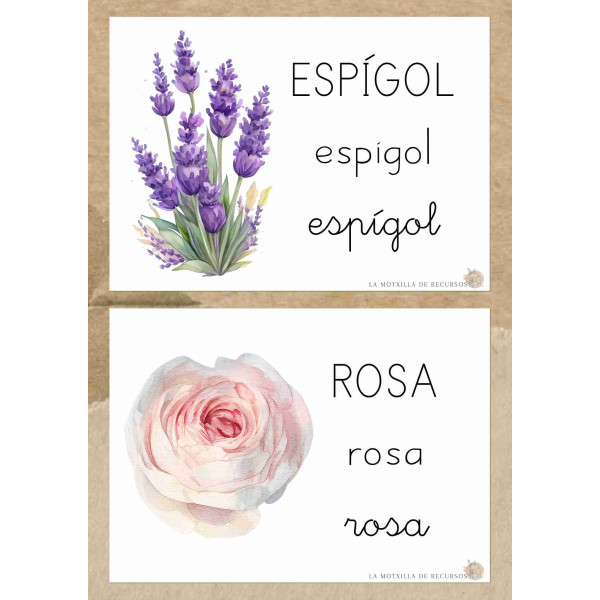 PRIMAVERA - targetes vocabulari