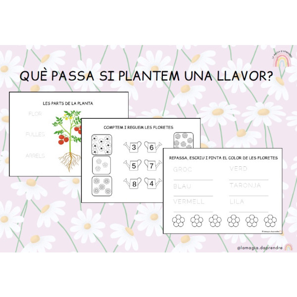 Projecte Les plantes
