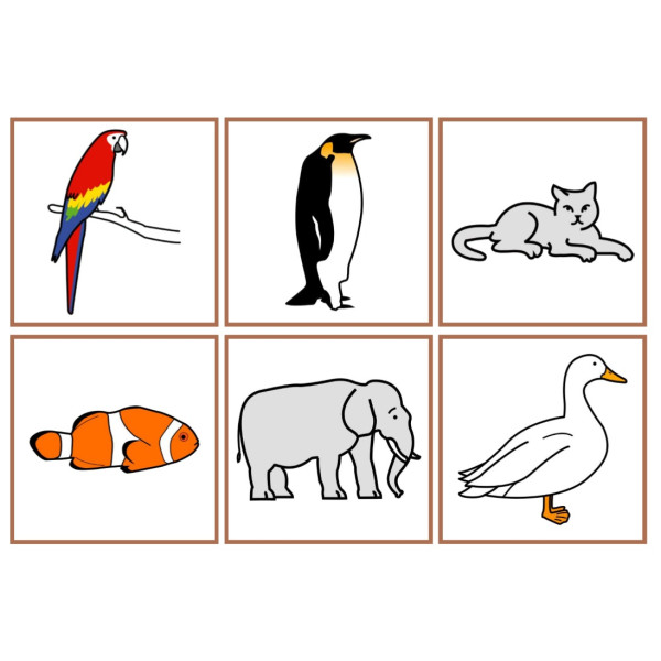 Associar imatge real- pictograma animals