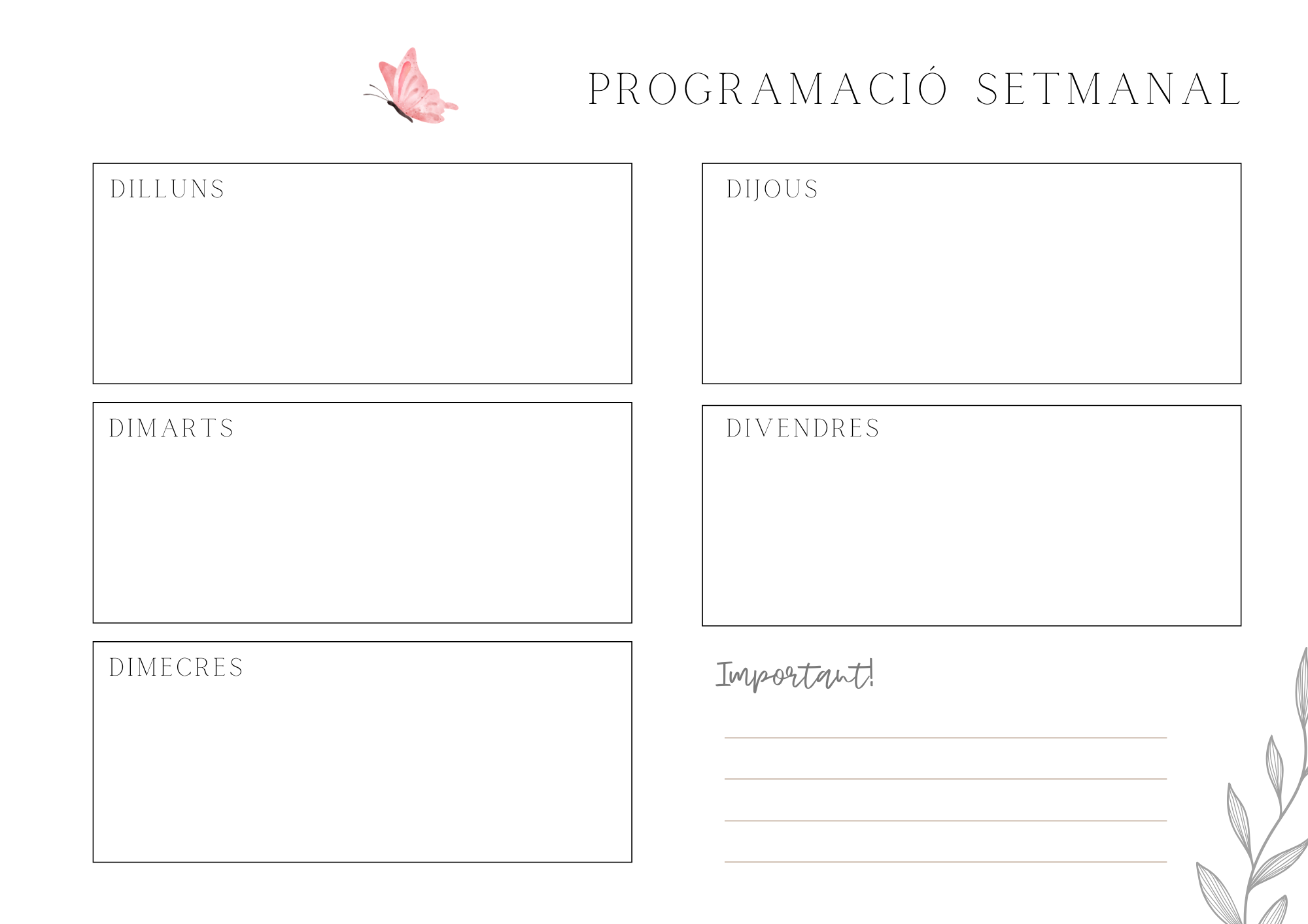 PROGRAMACIÓ SETMANAL