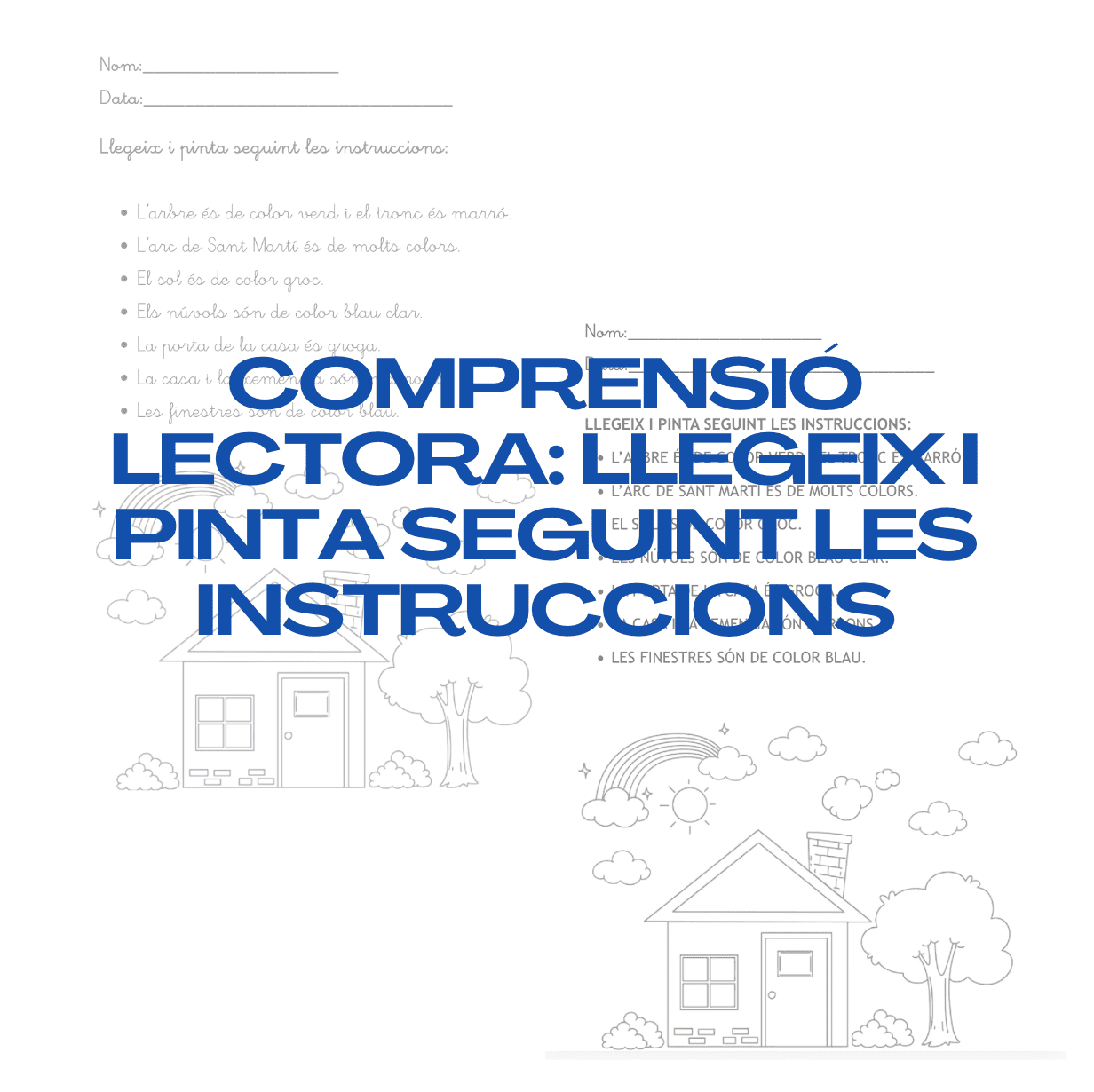 Comprensió lectora cicle inicial