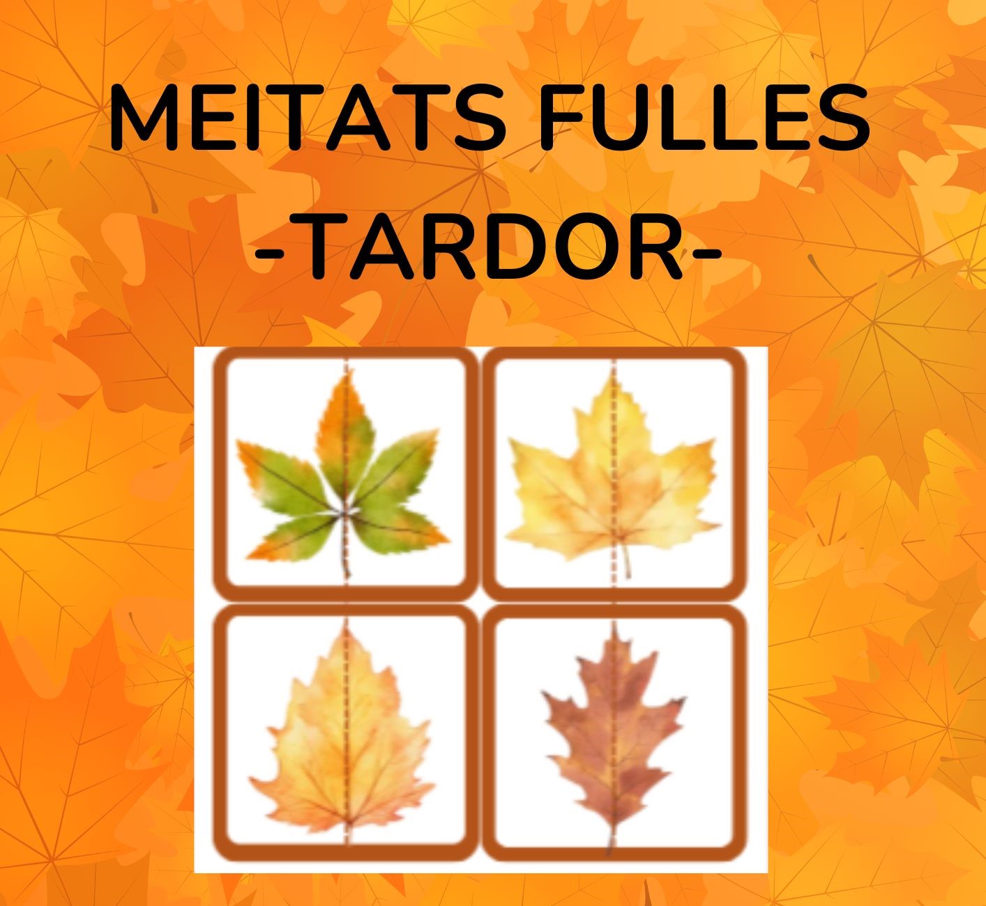 MEITATS fulles TARDOR