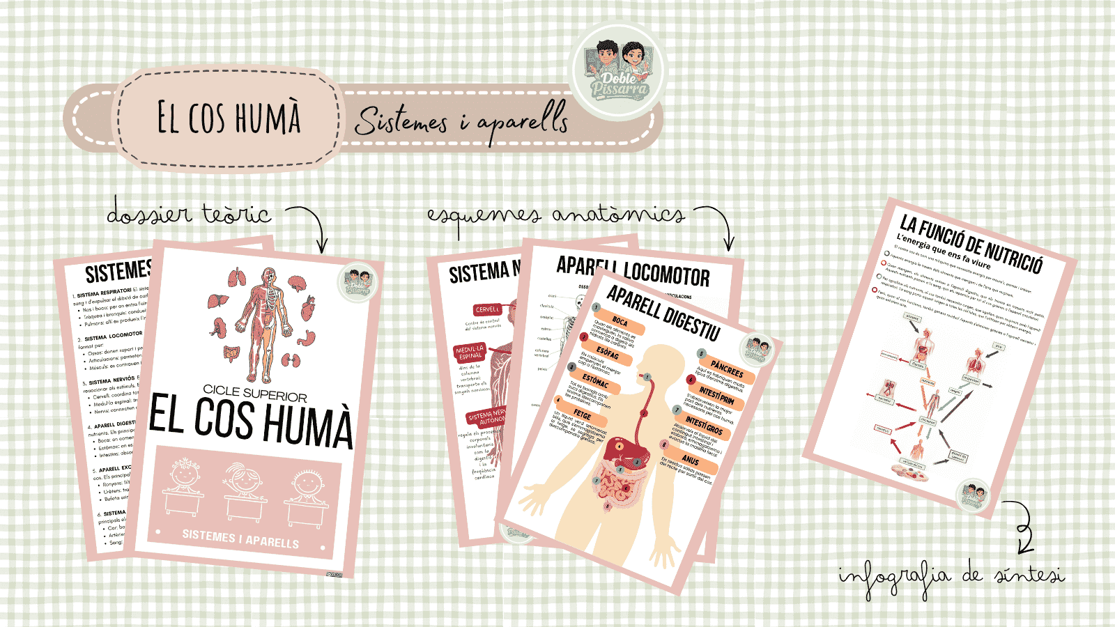 El cos humà: Sistemes i aparells