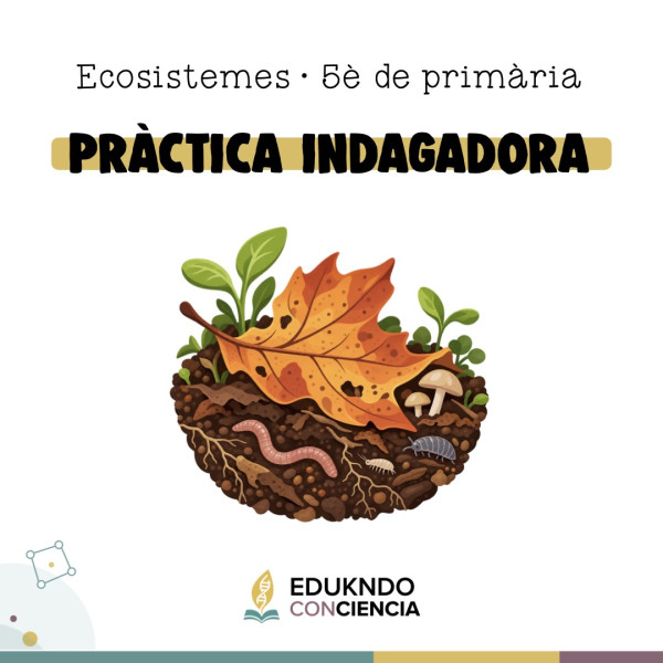 PRÀCTICA INDAGADORA ECOSISTEMES · 5È EDUCACIÓ PRIMÀRIA
