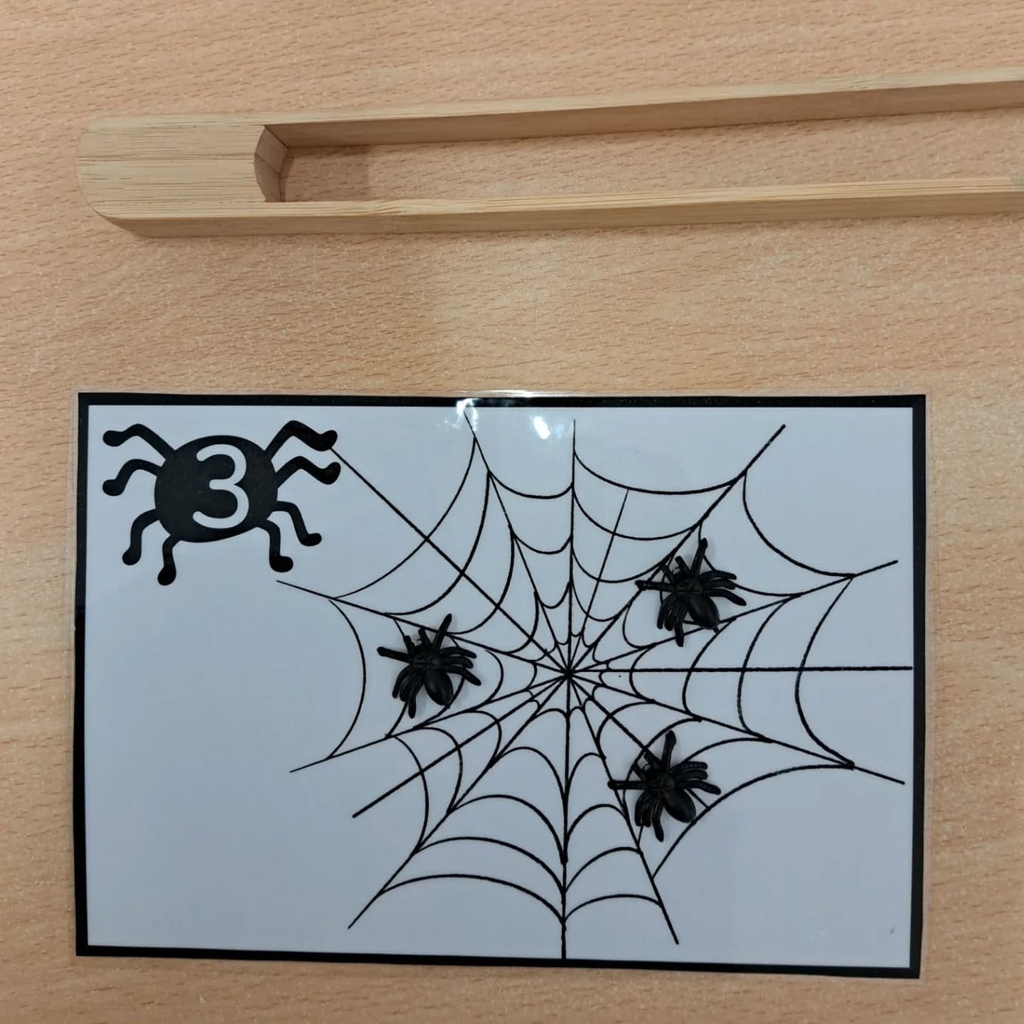 Contamos arañas 🕷🕷🕷