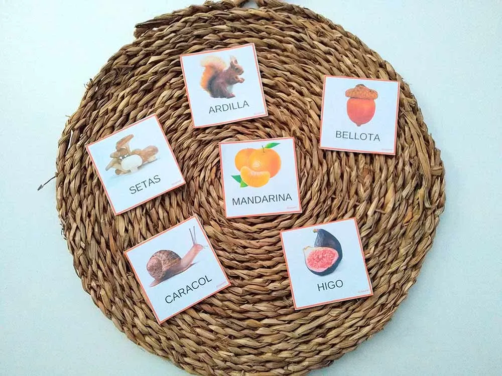 VOCABULARIO DEL OTOÑO CON TARJETAS DE LECTOESCRITURA