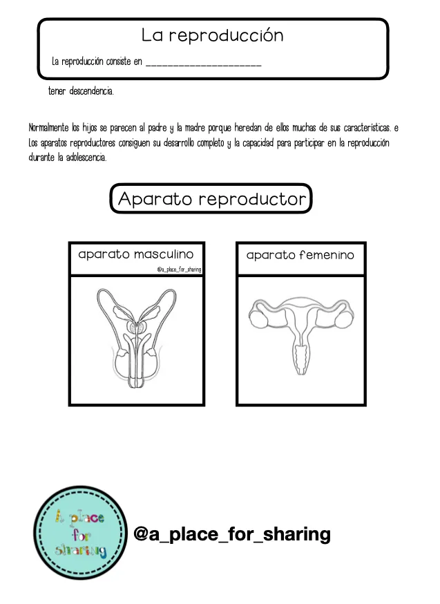 Las funciones vitales (cuaderno interactivo)