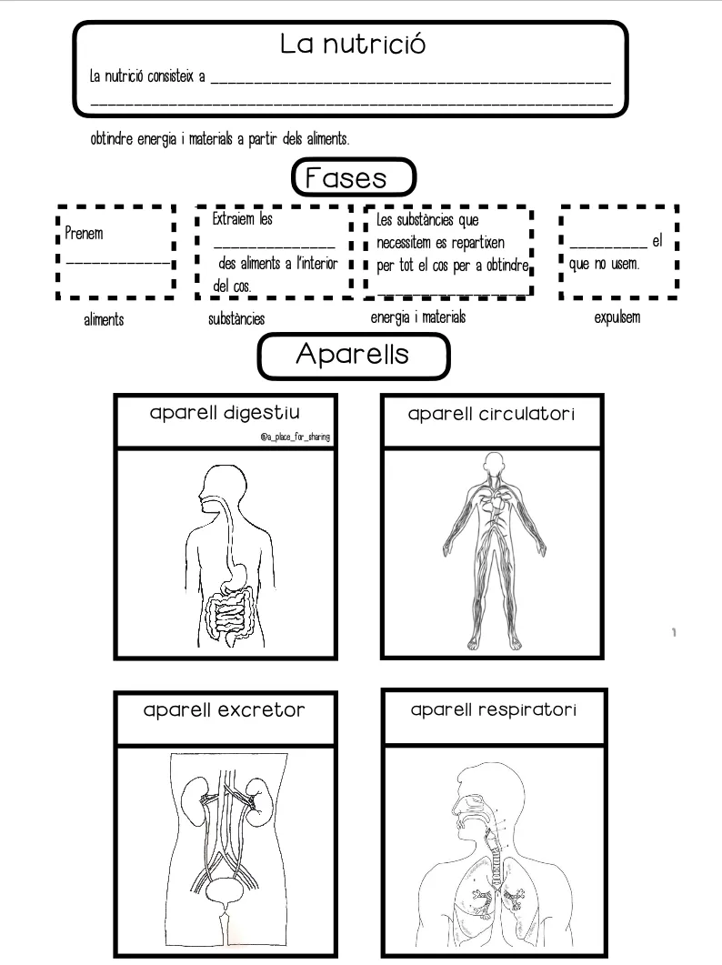 Les funcions vitals (quadern interactiu)