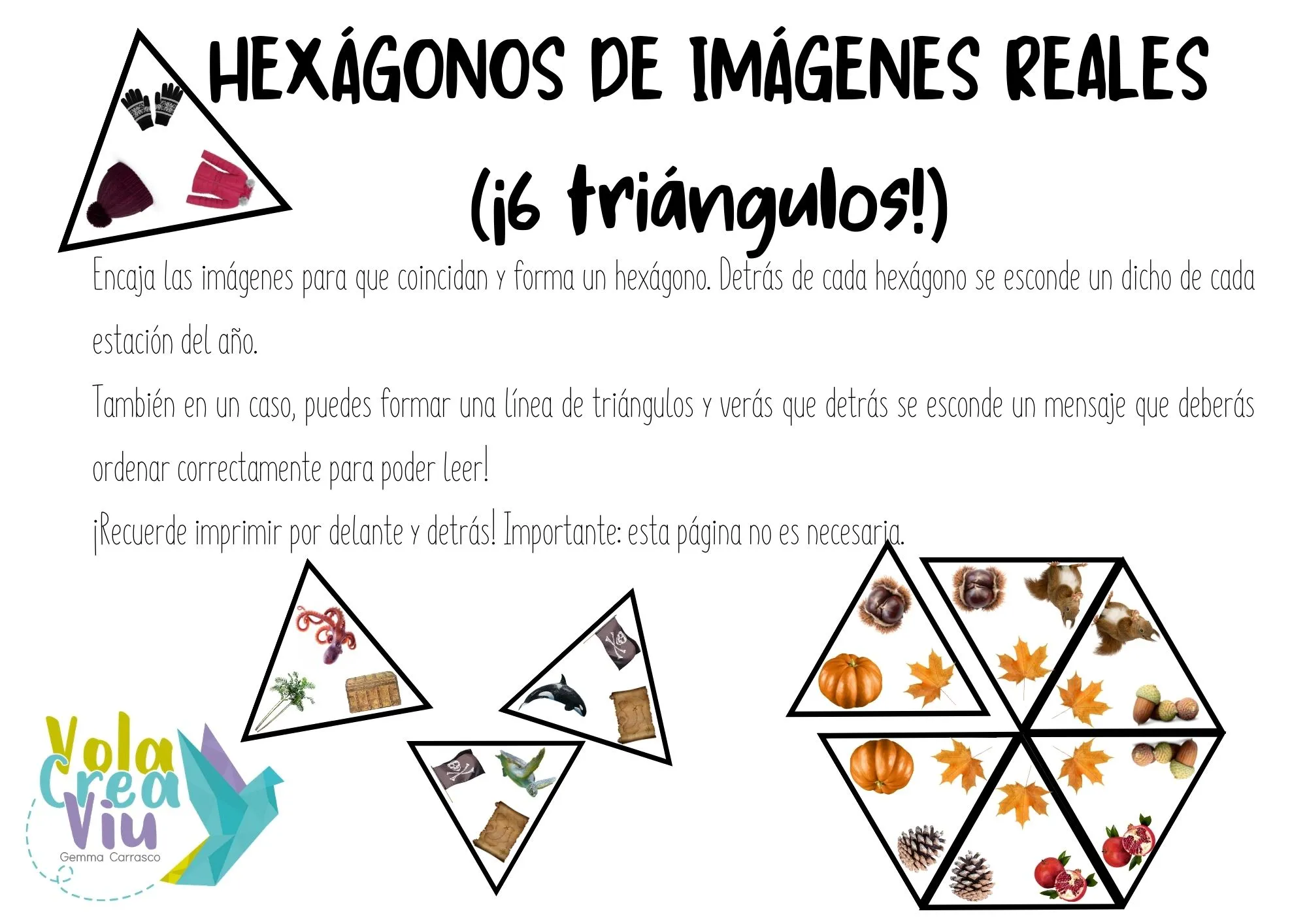 Juego hexágonos de imágenes REALES