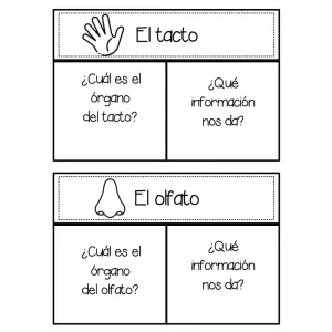 El gusto, el olfato y el tacto (cuaderno interactivo)