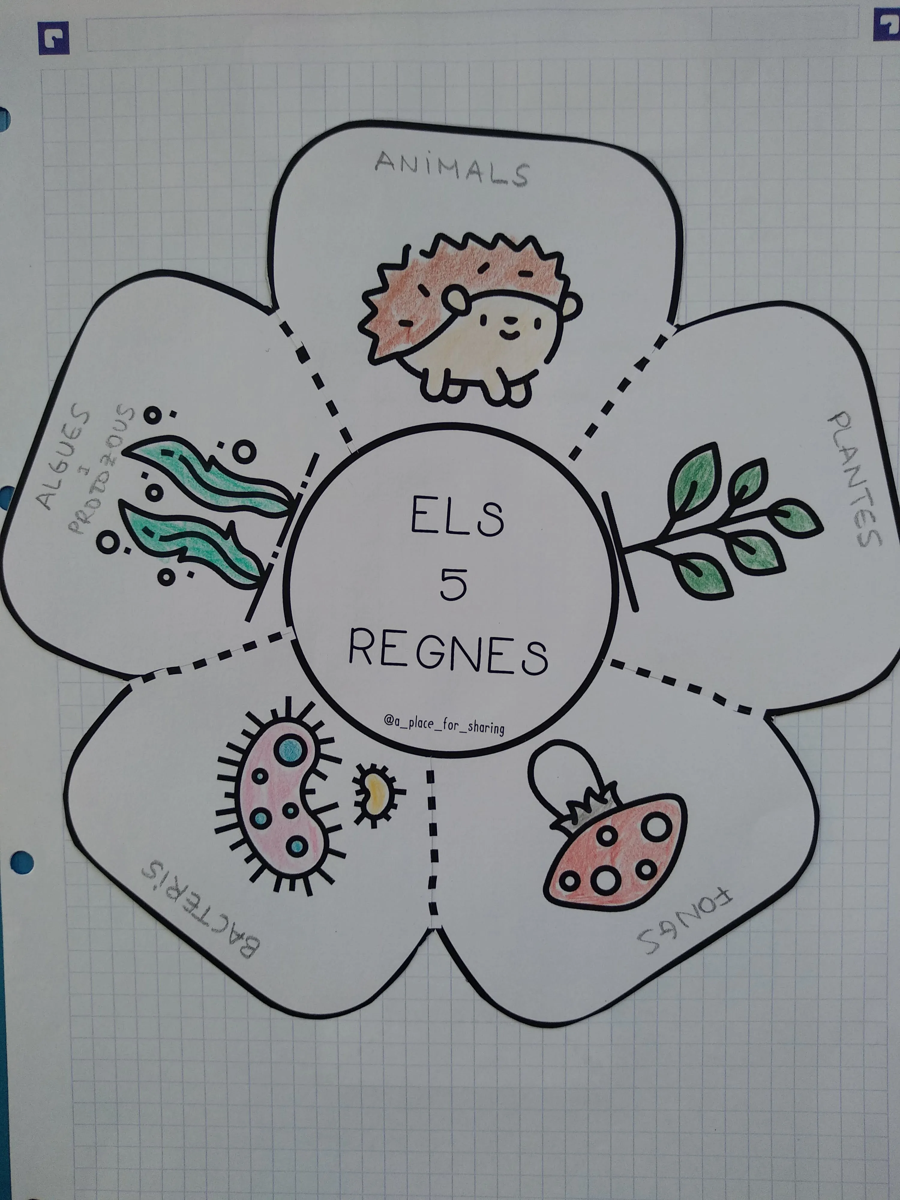 Los 5 Reinos Petal Book