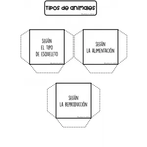 Tipos de animales