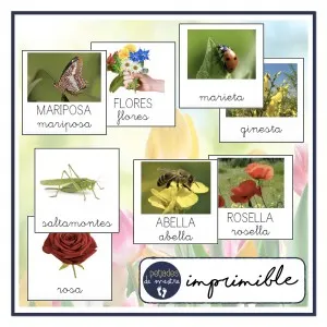 Vocabulario Primavera / Vocabulari Primavera