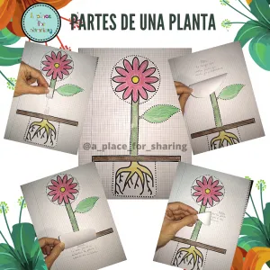 Partes de una planta