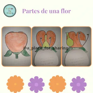 Partes de una flor