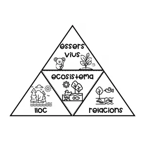 L'ecosistema