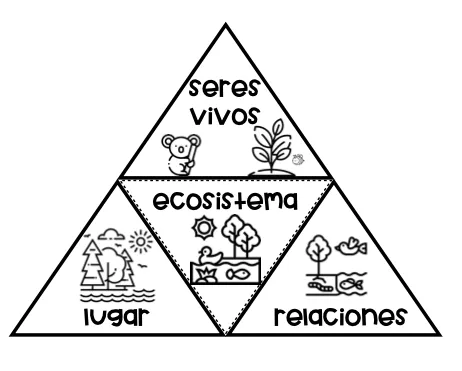 El ecosistema