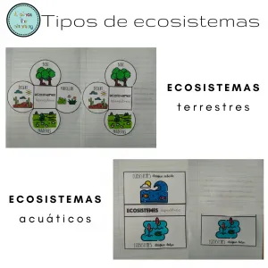 Ecosistemes terrestres i aquàtics