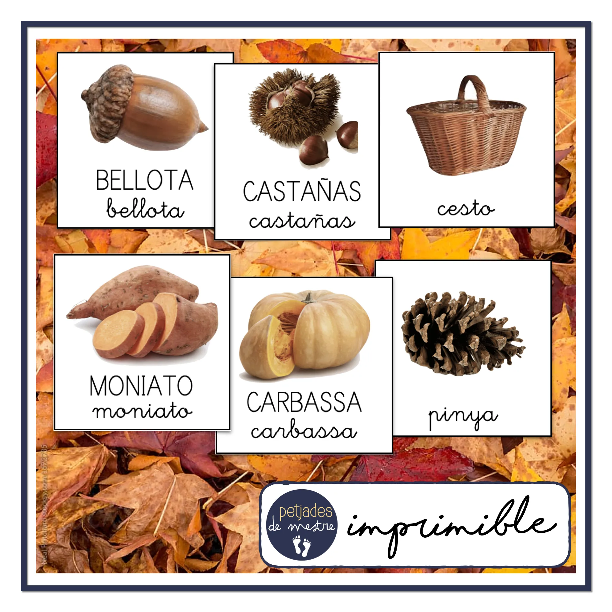 Vocabulari Tardor / Vocabulario Otoño