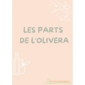 Parts de l'olivera