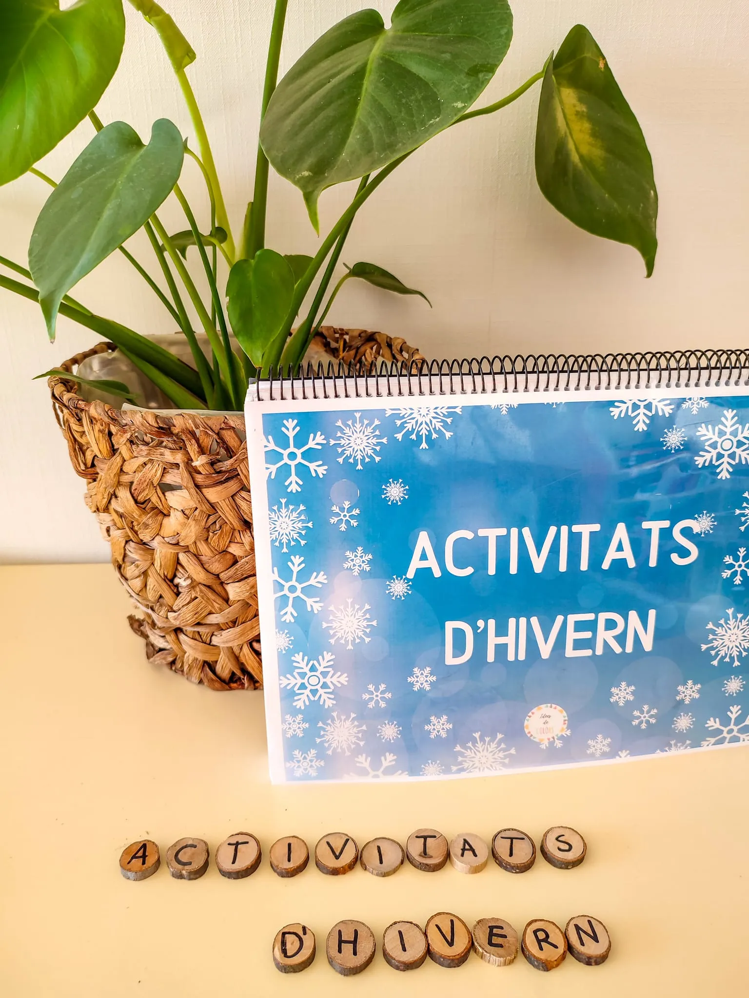 Activitats d'hivern