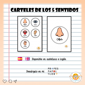 Carteles 5 sentidos (CAS-ENG)