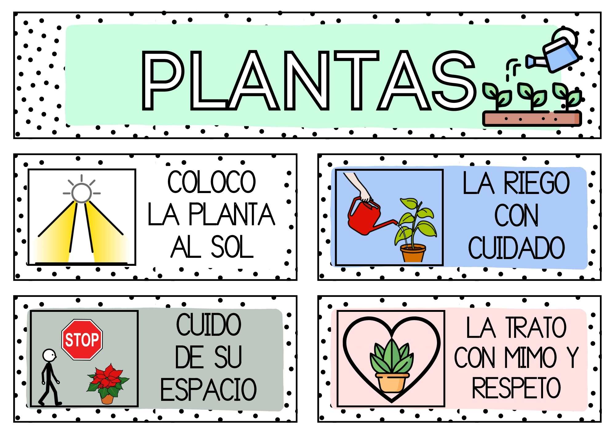 NORMAS cuidado de plantas del aula