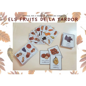 VOCABULARI DELS FRUITS DE LA TARDOR