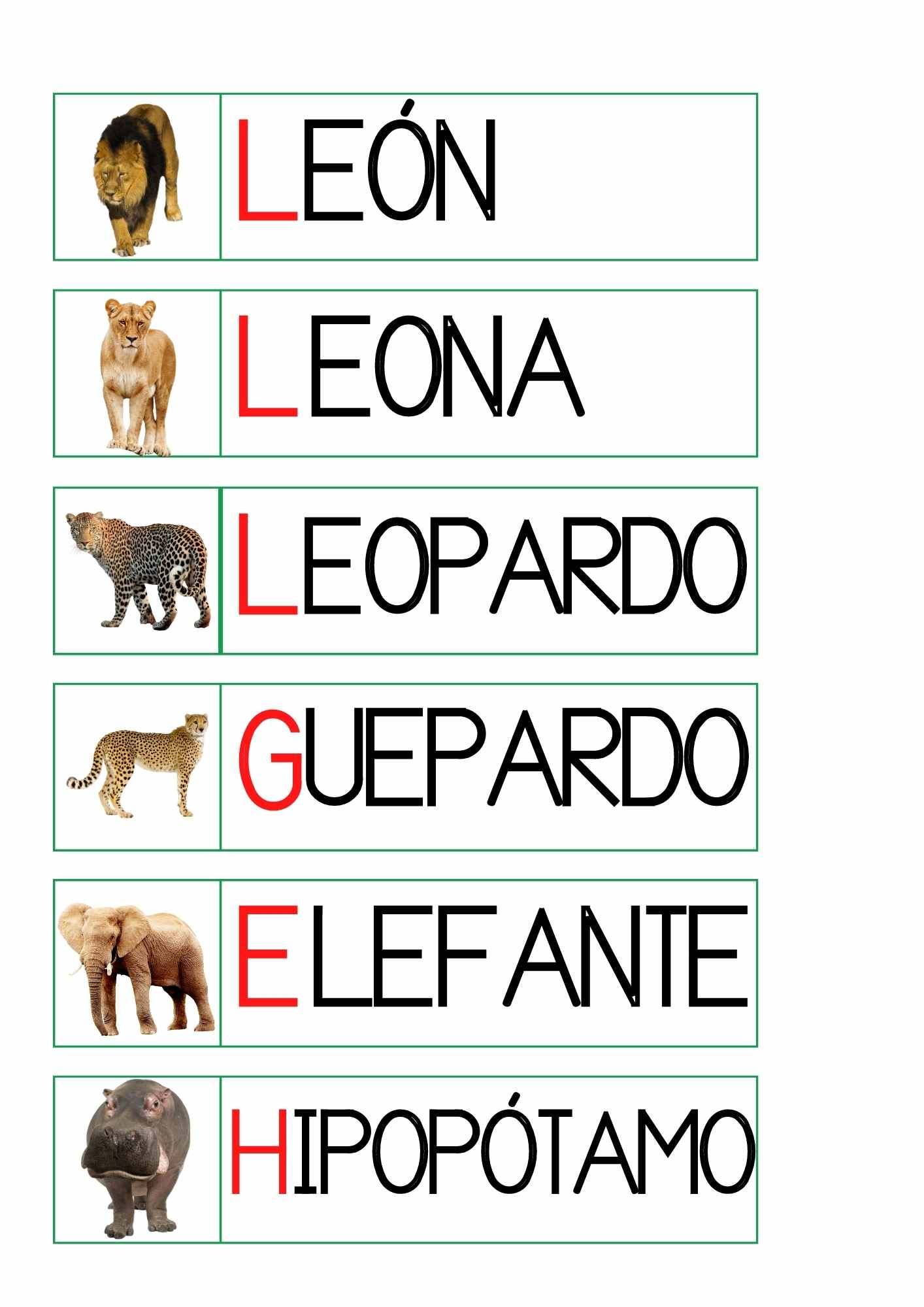 VOCABULARIO ANIMALES SABANA