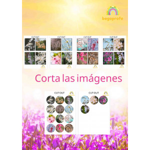 Emparejamiento de fotografías de primavera