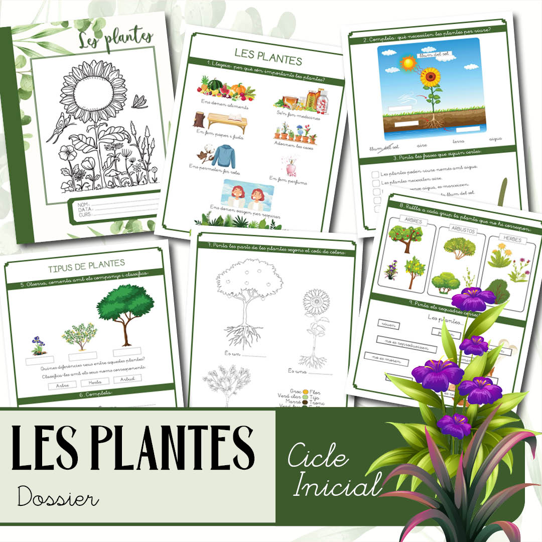 Les plantes - Cicle Inicial