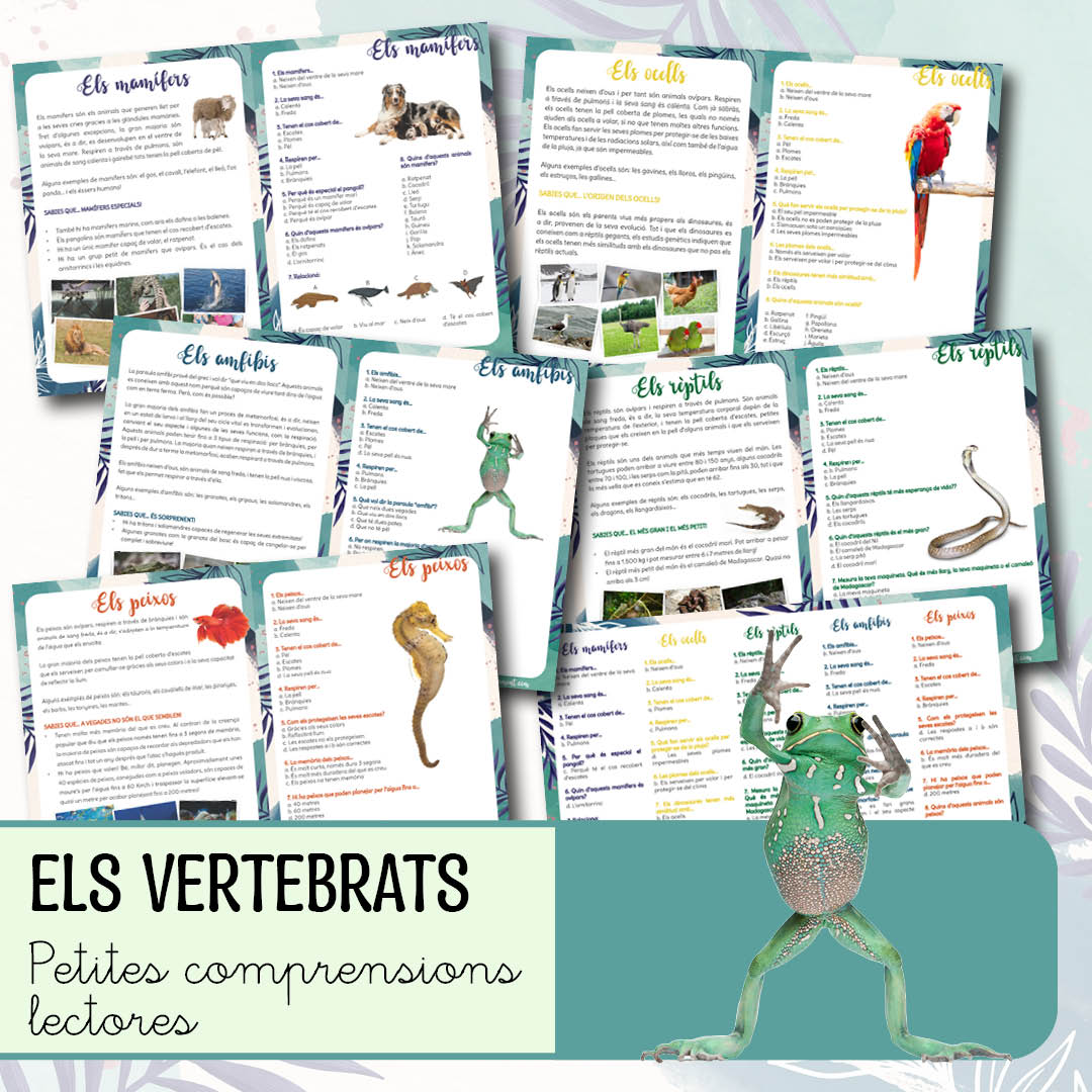 Petites comprensions lectores - Els vertebrats