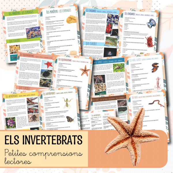 Petites comprensions lectores - Els invertebrats