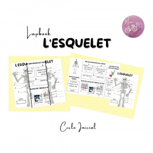 Lapbook de l'esquelet