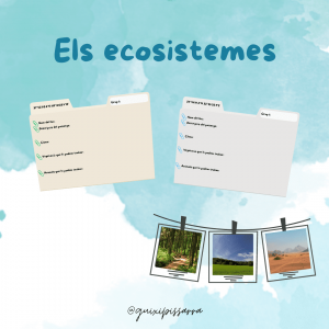 Los ecosistemas