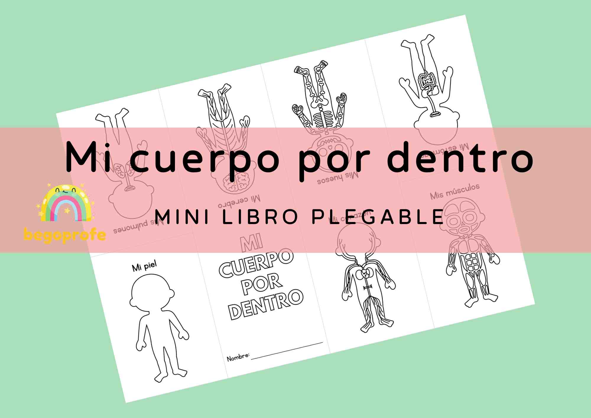 Mi cuerpo por dentro - Mini libro plegable