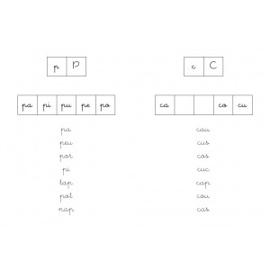 Aprenentatge progressiu de la lectoescriptura