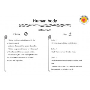 Human body