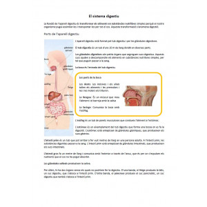 Sistema digestiu: informació