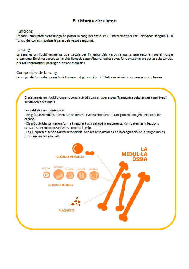 Pack: Els aparells del cos humà