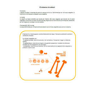 Pack: Els aparells del cos humà